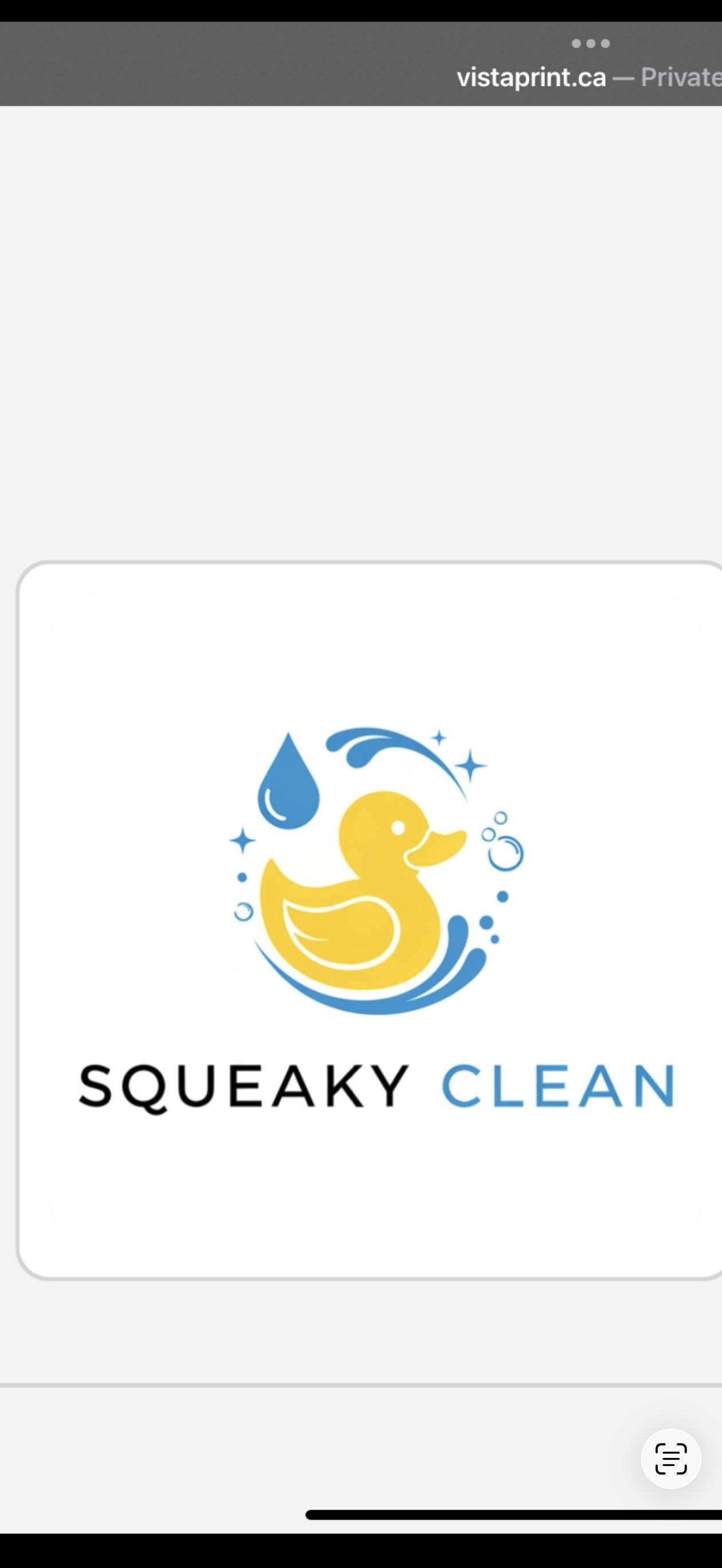 Squeaky Clean Logo